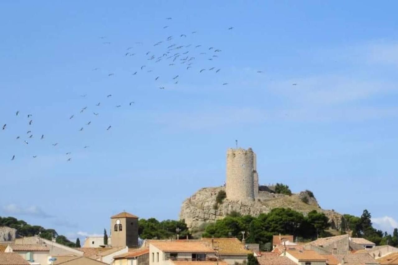 Studio Sur Le Port, Climatisation, Wifi, Piscine, Lave-Linge Gruissan Buitenkant foto